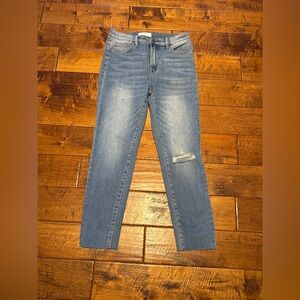 NWT Vervet High Rise Distressed Jeans